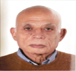 Mahmoud Hani Shalaby