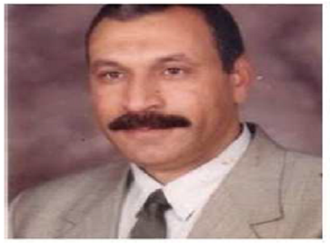 Hussein A. Hegazy
